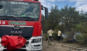 Bolu'da orman yangını: 3 saatte kontrol altına alındı