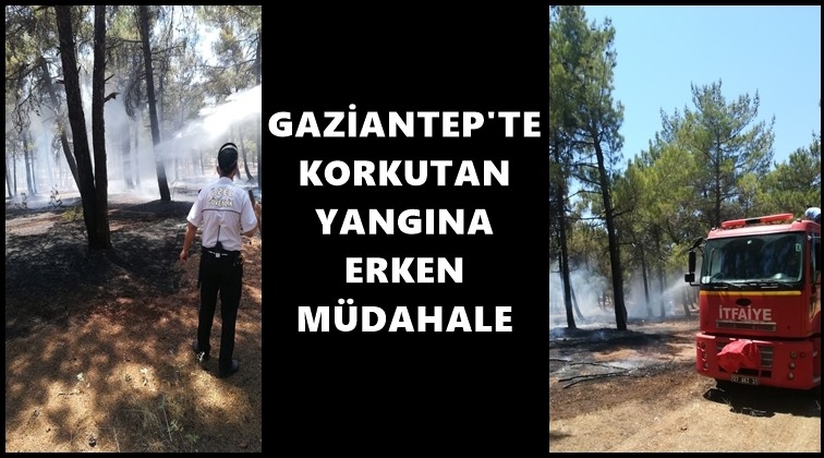 Burç'taki yangına erken müdahale...