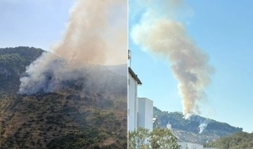 Çanakkale’de orman yangını!