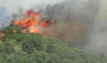 Çanakkale'deki orman yangını 26 saatte kontrol altına alındı