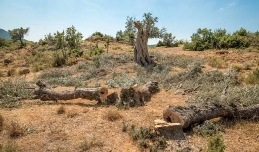 ‘ÇED raporları değiştiriliyor’