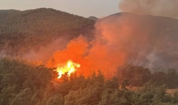  Muğla'da orman yangını: 'Bölgede çok büyük kayıp var'