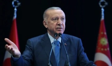 Erdoğan Instagram engelini eleştirenlere 'ev zencisi' tanımını kullandı. Peki 'ev zencisi' nedir?