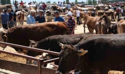 Erzincan’daki hayvan pazarında şap karantinası: Hayvan pazarı geçici olarak kapatıldı