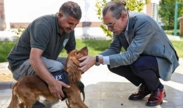 Etimesgut'ta ilk sokak köpeği ataması yapıldı