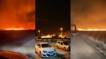 Gaziantep'te büyük orman yangını