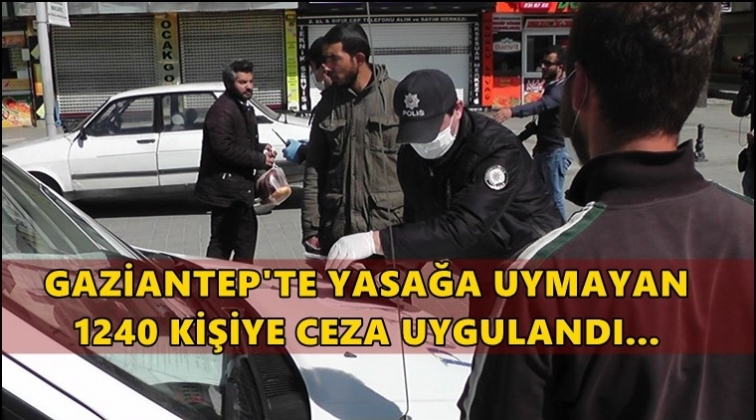 Gaziantep'te yasağa uymayan 1240 kişiye ceza