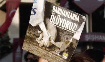 İstanbul'da sokak hayvanları yasası protestosu: 'Bu kanlı yasa teklifini reddediyoruz&#039