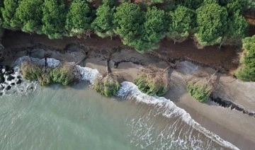 Kıyı erozyonu sahili yutuyor: Taşın ve yolun altı oyuluyor!