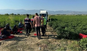 Korkunç olay: Tarlada uyuyan çocuğu öldürdü!