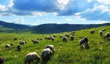 Mera alanına GES ve RES kurulacak