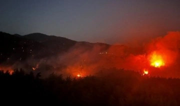 Milas’ta orman yangını sürüyor: MSB 5 helikopter görevlendirdi!