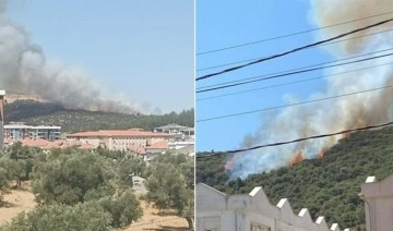 Muğla'da makilik yangını: Ekiplerin müdahalesi sürüyor