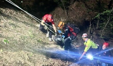 Odun toplamak için ormana gitti: Cesedi bulundu!