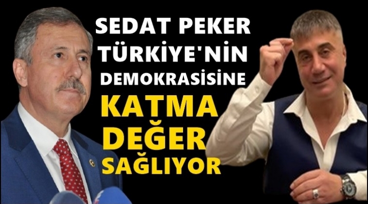 Özdağ: Sedat Peker, Türk demokrasisine katma değer sağlıyor