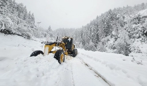 Rize'de 21 köy yolu kardan kapandı