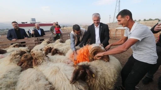 Şahinbey Belediyesi'nden 313 aileye hayvan desteği 