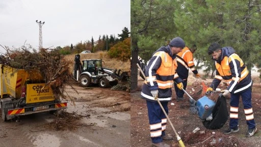 Şehitkamil'de ormanlık alanlar temizleniyor