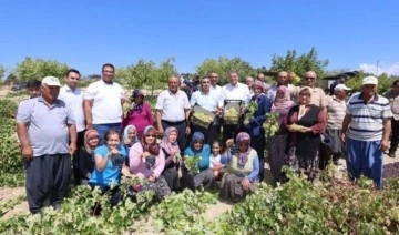 Silifke'de hasat başladı: İlk ürünler 25 TL'den satıldı