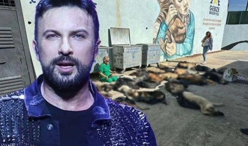 Tarkan'dan Gebze'de yaşanan hayvan katliamına tepki