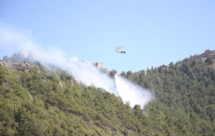 ALANYA&#039;DA ORMAN YANGINI ÇIKTI!