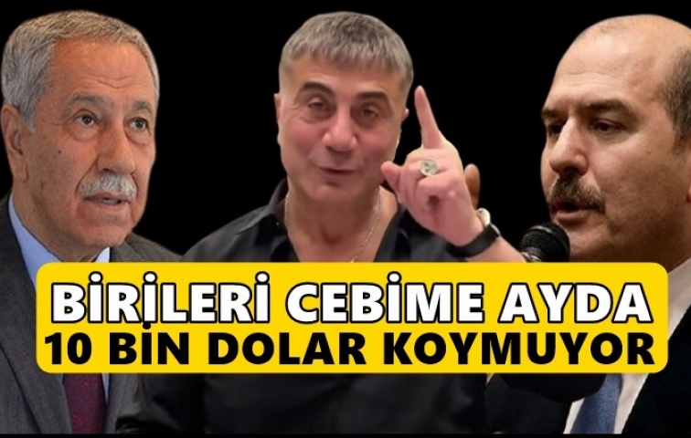 ARINÇ: BİRİLERİ CEBİME AYDA 10 BİN DOLAR KOYMUYOR